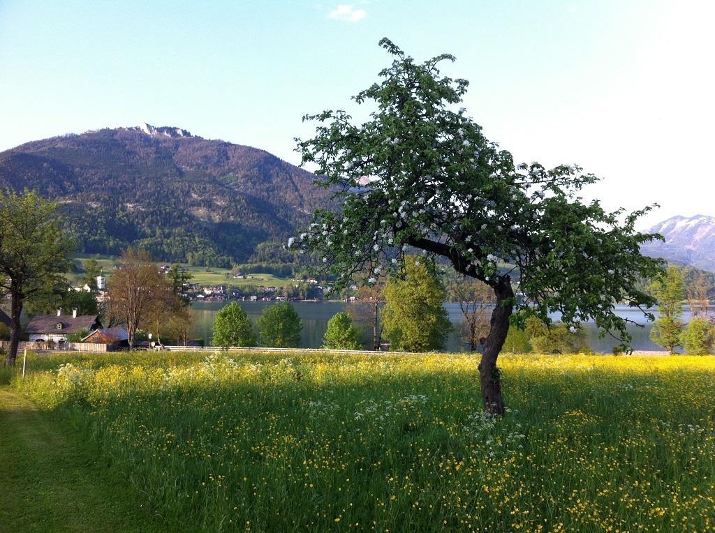 Haus Schoenblick Apartment Strobl Exterior foto